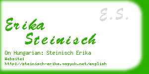 erika steinisch business card